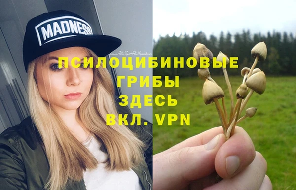ALPHA-PVP Богородицк