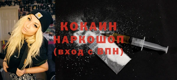 индика Бронницы