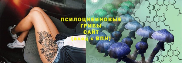 mdma Богданович