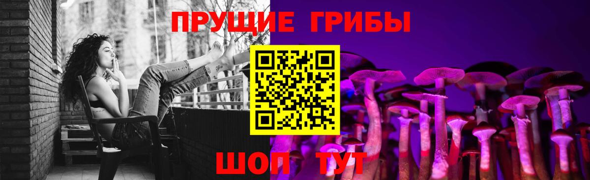 Псилоцибиновые грибы GOLDEN TEACHER  Дагестанские Огни  Псилоцибиновые грибы мицелий 